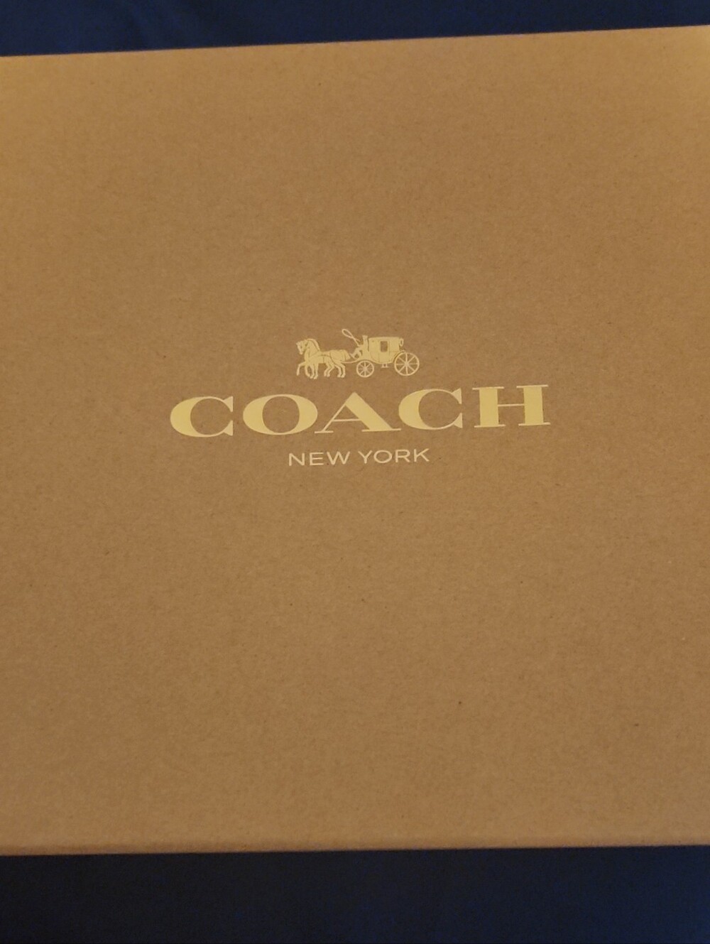 Coach Dog Collar